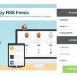 Feedzy RSS Feed Premium