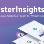 Monsterinsights Ads Addon