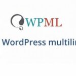 MailChimp for WordPress Multilingual – WPML