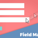 Give Add-On Form Field Manager