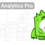 Google Analytics Premium – Monsterinsights