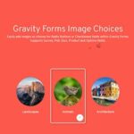 Gravity Forms Image Choices