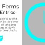 Gravity Forms Timed Entries