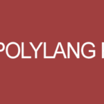 Polylang Pro