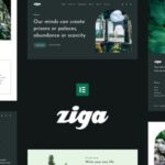 Ziga – Healer & Life Coach Elementor Template Kit