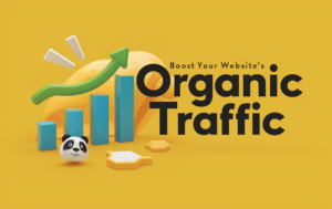 Organic traffic là gì?