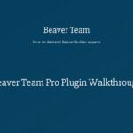 Beaver Team Pro
