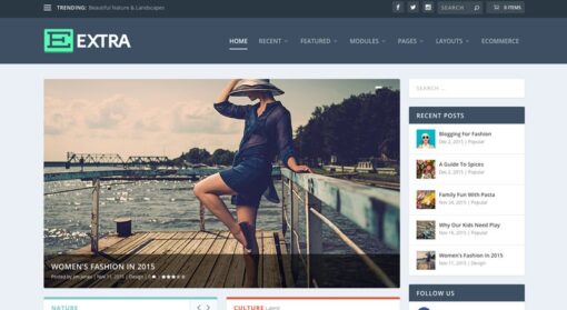 Elegant Themes Extra