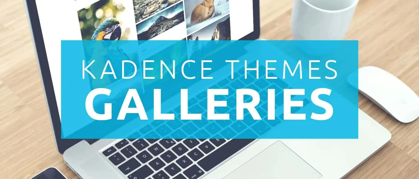 Kadence Galleries Kadence Galleries