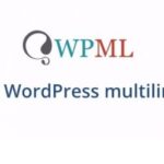 WPML All Import