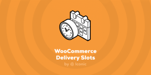 WooCommerce Delivery Slots