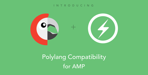 AMP for Polylang AMP for Polylang
