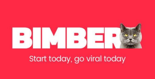 Bimber – Viral & Buzz WordPress Theme