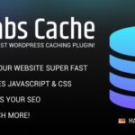 Borlabs Cache – WordPress Caching Plugin