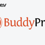 BuddyPress Auto Friendship Pro