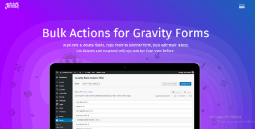 Bulk Actions Pro for Gravity Forms