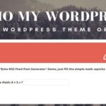 Demo My WordPress