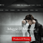 Styleshop – Sleek And Powerful Ecommerce WordPress Theme