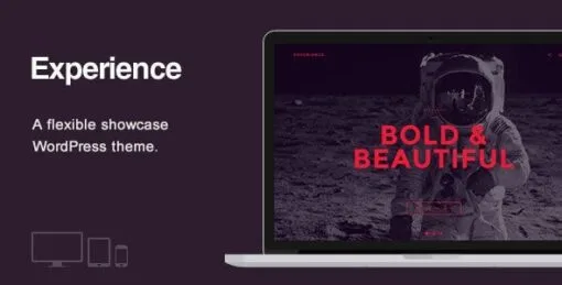 Experience – Showcase WordPress Theme