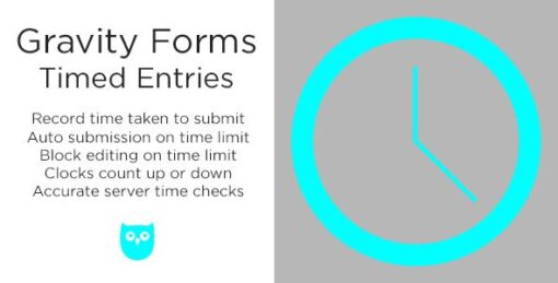 Gravity Forms Timed Entries