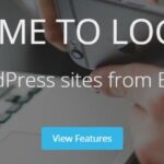 Loginizer