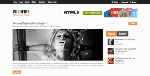 Wildfire – Clean Responsive WordPress Theme