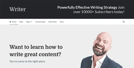 Writer – Professional WordPress Theme For Writers