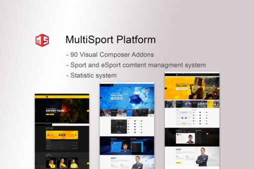 MultiSport platform