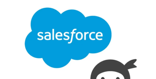 Ninja Forms – Salesforce CRM