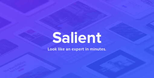 (DO NOT USE) Salient – Responsive Multi-Purpose Theme