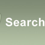 SearchWP Polylang Integration