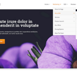 Thrive Themes Ignition