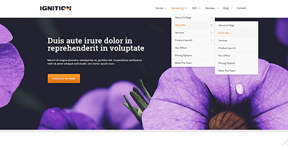 Thrive Themes Ignition Thrive Themes Ignition