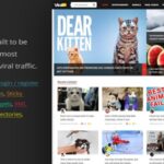ViralVideo WP