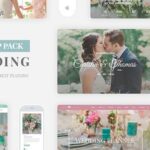 Wedding Industry