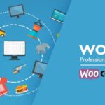 WOOBE – WooCommerce Bulk Editor Professional