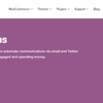 Woocommerce Follow Up Emails