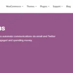 Woocommerce Follow Up Emails