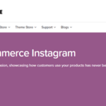 Woocommerce Instagram