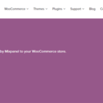 Woocommerce Mixpanel