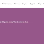 Woocommerce Mixpanel