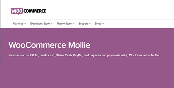Woocommerce Mollie Woocommerce Mollie