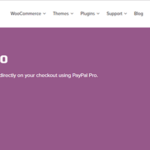 Woocommerce Paypal Pro Gateway