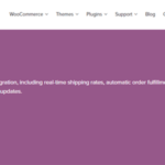 Woocommerce Shipwire Integration