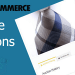 Woocommerce Simple Auctions