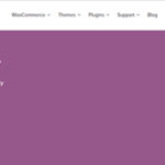 Woocommerce Gateway World Pay