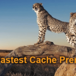 Wp Fastest Cache Premium