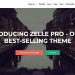 Zelle PRO