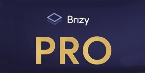 Brizy