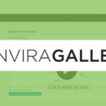 Envira Gallery – Social Addon